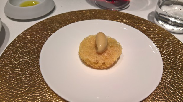 wp_20160913_13_00_04_rich