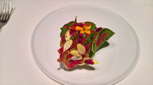 wp_20160913_14_59_37_rich