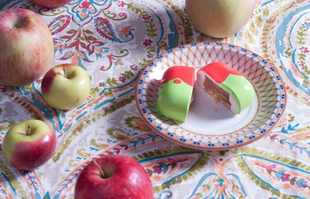 whatsapp-image-2016-11-13-at-21-37-59-1