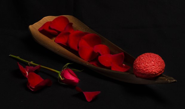 beautyandbeast-00228