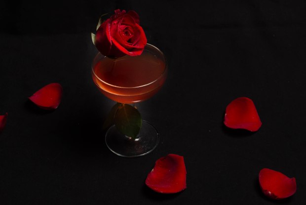 beautyandbeast-00230